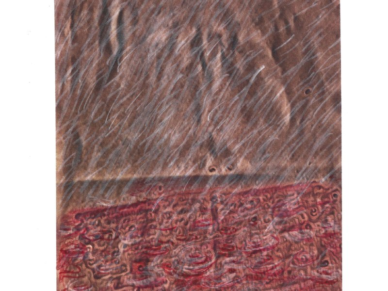 Gaza, piove sul bagnato (28 nov 2025)